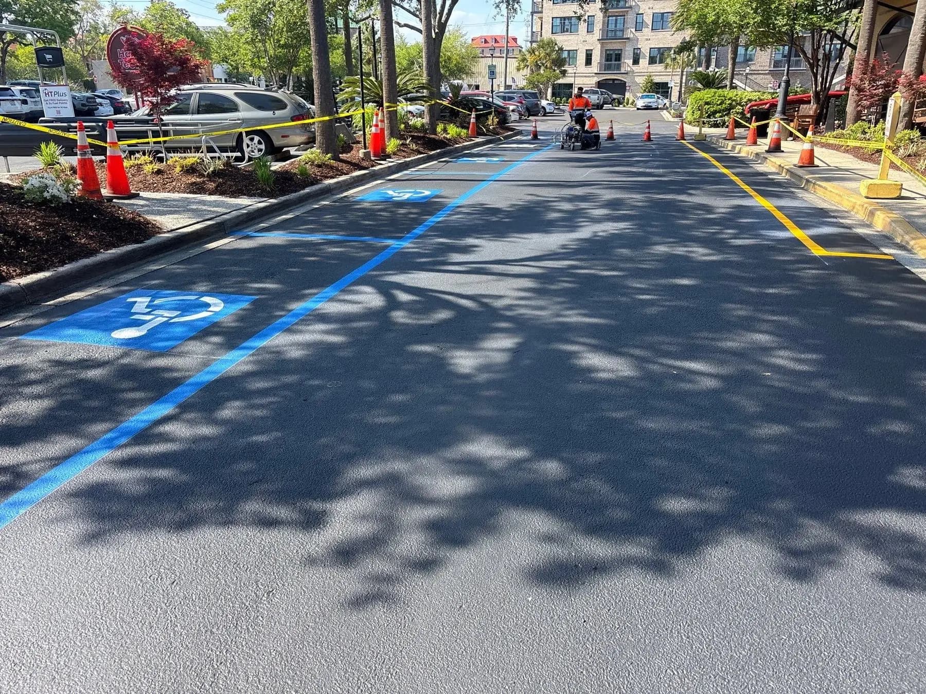 ADA parking stalls and markings at Harris Teeter in Charleston SC