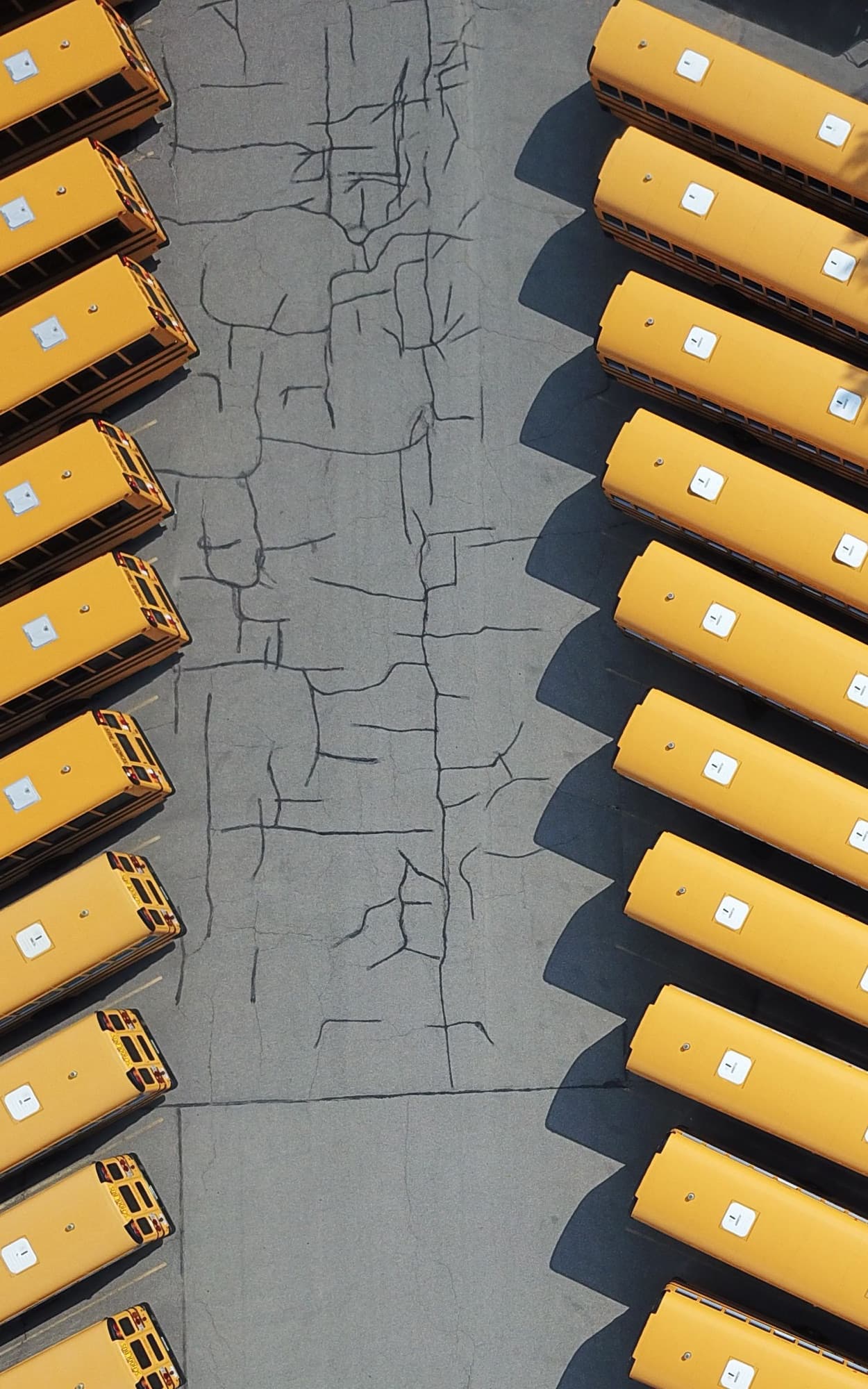 A cracked asphalt drive lane running between two rows of parked school buses, seen from directly above